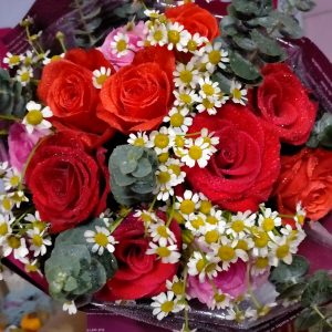 sinh nhật vui vẻ