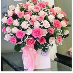 Chúc mừng 07