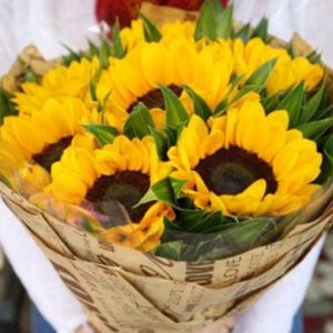 Chúc mừng 06