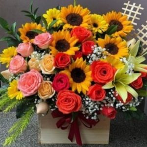 Chúc mừng 01
