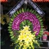 Hoa Chia Buồn
