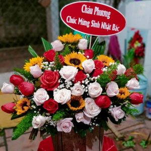Hoa chúc mừng sinh nhật