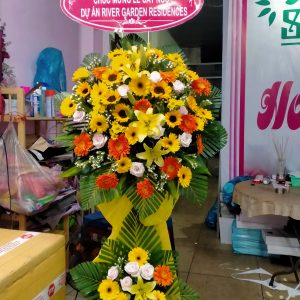 Chúc mừng M12