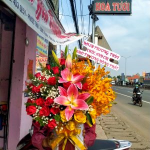 Hồng phát