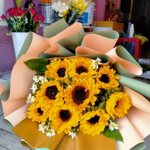 Hướng dương ngược nắng