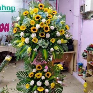 Hoa chúc mừng-CM024