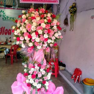 Hoa chúc mừng-CM020