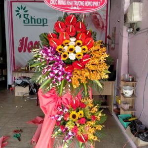 Hoa chúc mừng-CM019