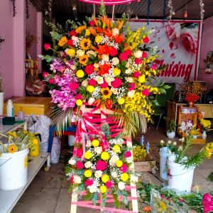 Hoa chúc mừng-CM015