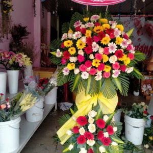 Hoa chúc mừng-CM016