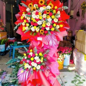 Hoa chúc mừng-CM035