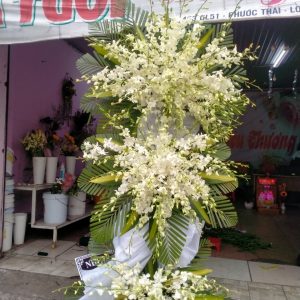 Hoa chia buồn-T033