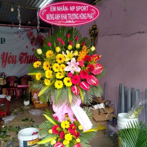 Hoa chúc mừng-CM027