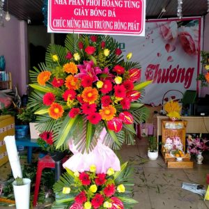 Hoa chúc mừng-CM026
