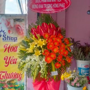 Hoa chúc mừng-CM040