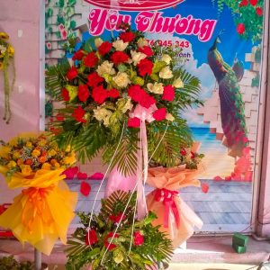 Hoa chúc mừng-CM043
