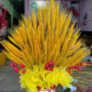 Bình Lúa mạch - LM04