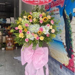 Hoa Khai Trương-CM087