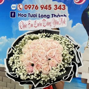 Hoa bó-B071