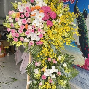 Hoa Khai Trương-CM123