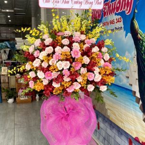 Hoa Khai Trương-CM117