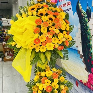 Hoa Khai Trương-CM114