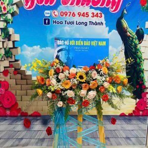 Hoa Khai Trương-CM113