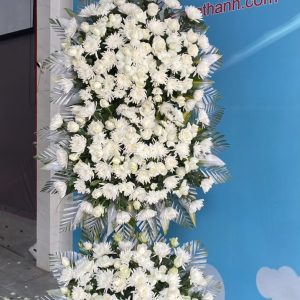 Hoa chia buồn - T117