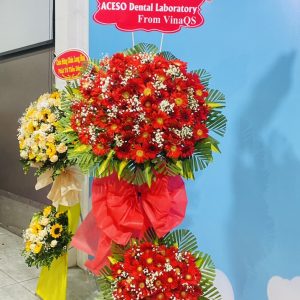 Hoa khai trương - CM137