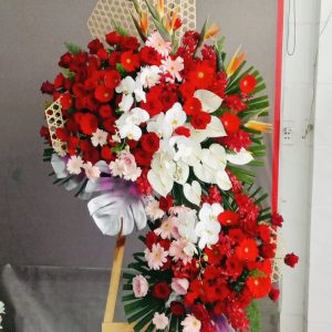Hoa khai trương - CM149