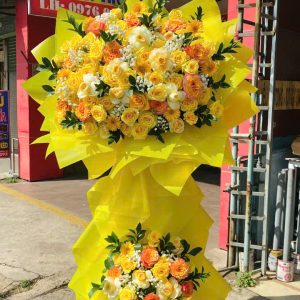 Hoa khai trương - CM199