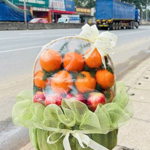 Giỏ Trái Cây - TC034