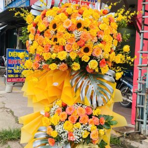 Hoa Khai Trương - CM210