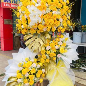 Hoa Khai Trương - CM211