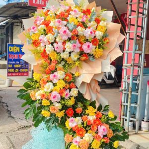 Hoa Khai Trương - CM212
