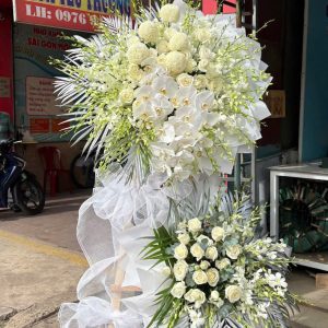 Hoa chia buồn - T163