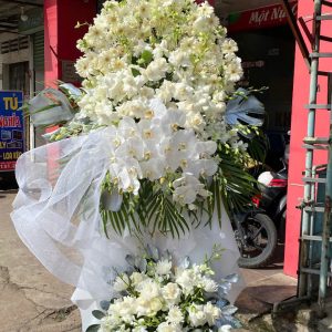Hoa chia buồn - T162