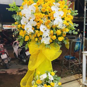 Hoa khai trương - CM230