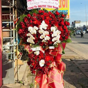 Hoa khai trương - CM223