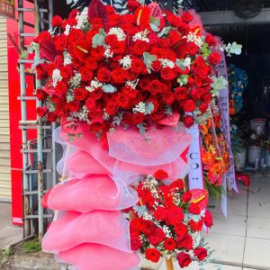 Hoa Khai Trương - CM285